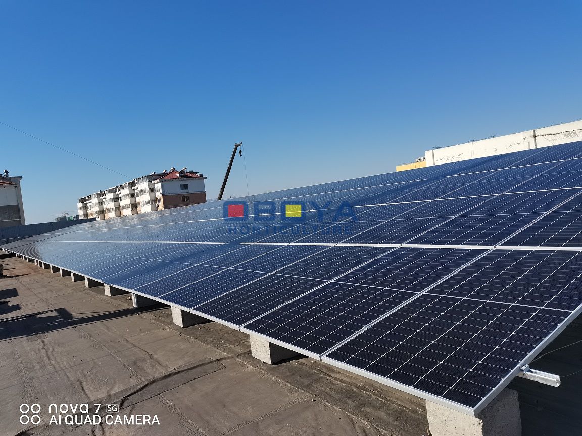 We at Oboya Horticulture are investing in solar energy power plants!(图4)
