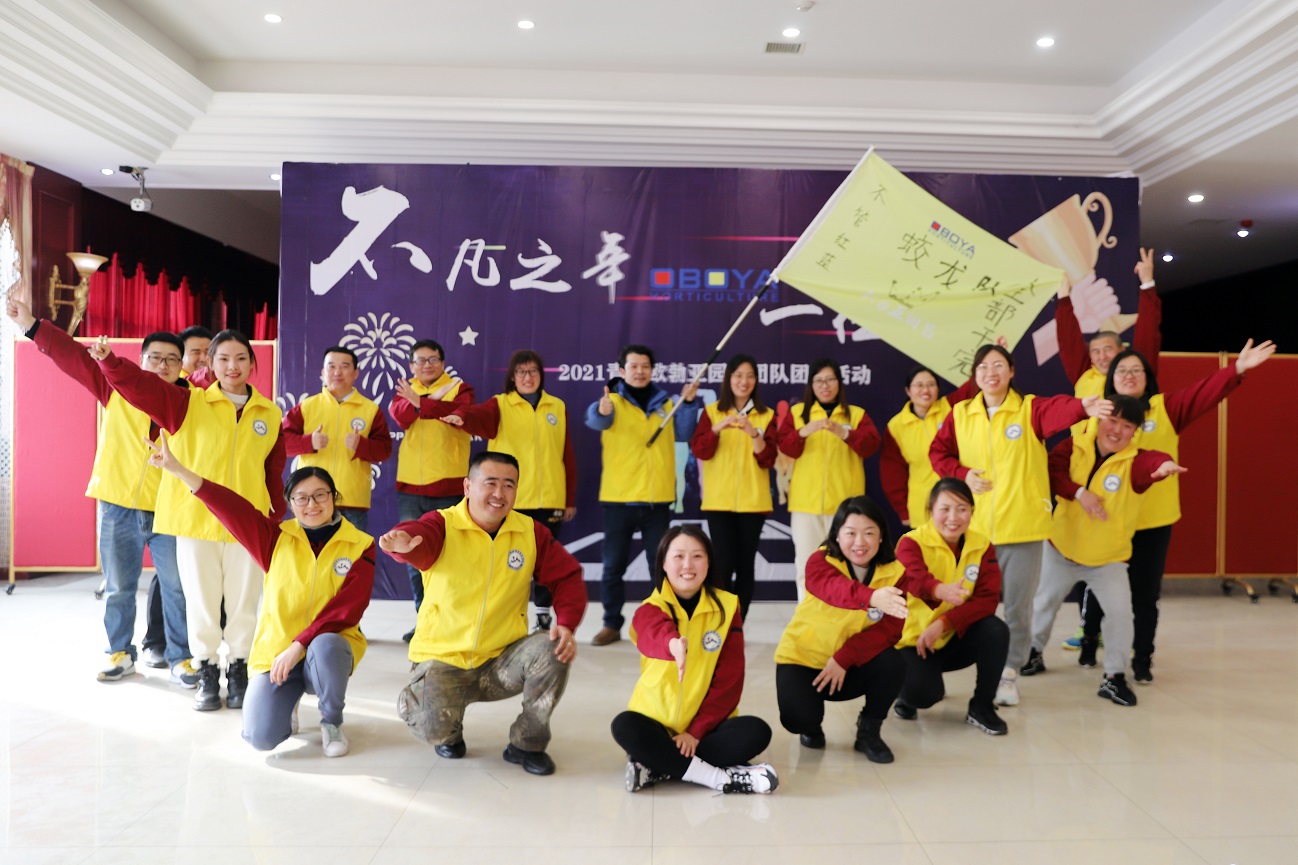 Team Activity on Jan.2021(图2)